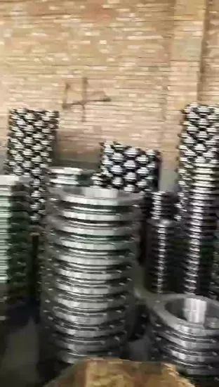 ANSI B16.5 F316/L 304 Forged Stainless Steel Lap Joint Flange Socket Welding Flange for Connection