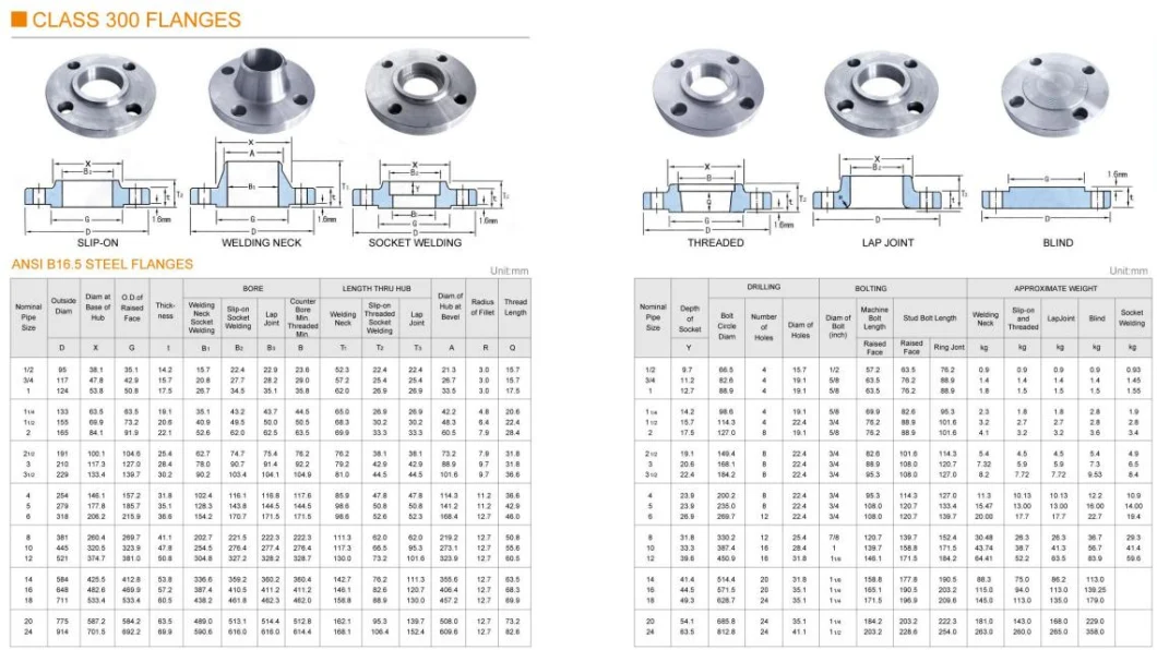 Custom Stainless Steel Carbon Steel Brass Forged Flange