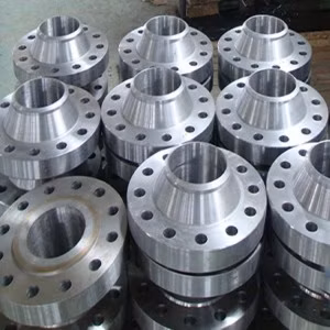 ASME B16.5 Venda Direta Aço Carbono Aço Inoxidável Usinado CNC Forjado Soldado Flange