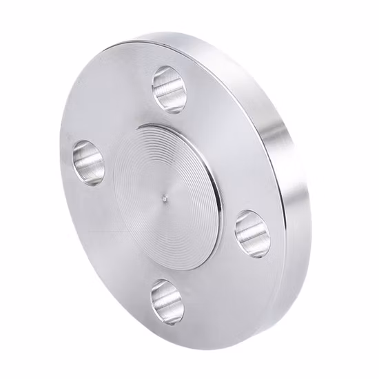 Deslizamento de Aço Inoxidável JIS no Flange de RF